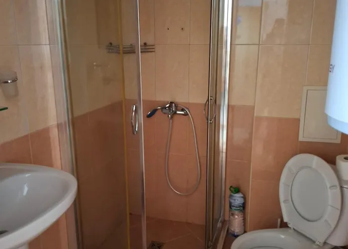 Salena Солнечный берег