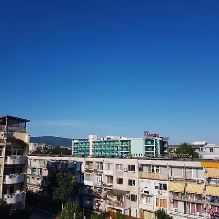 Apartment Salena