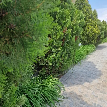 Apartment Salena